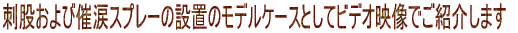 h҂э×܃Xv[̐ݒũfP[XƂărfIfłЉ
